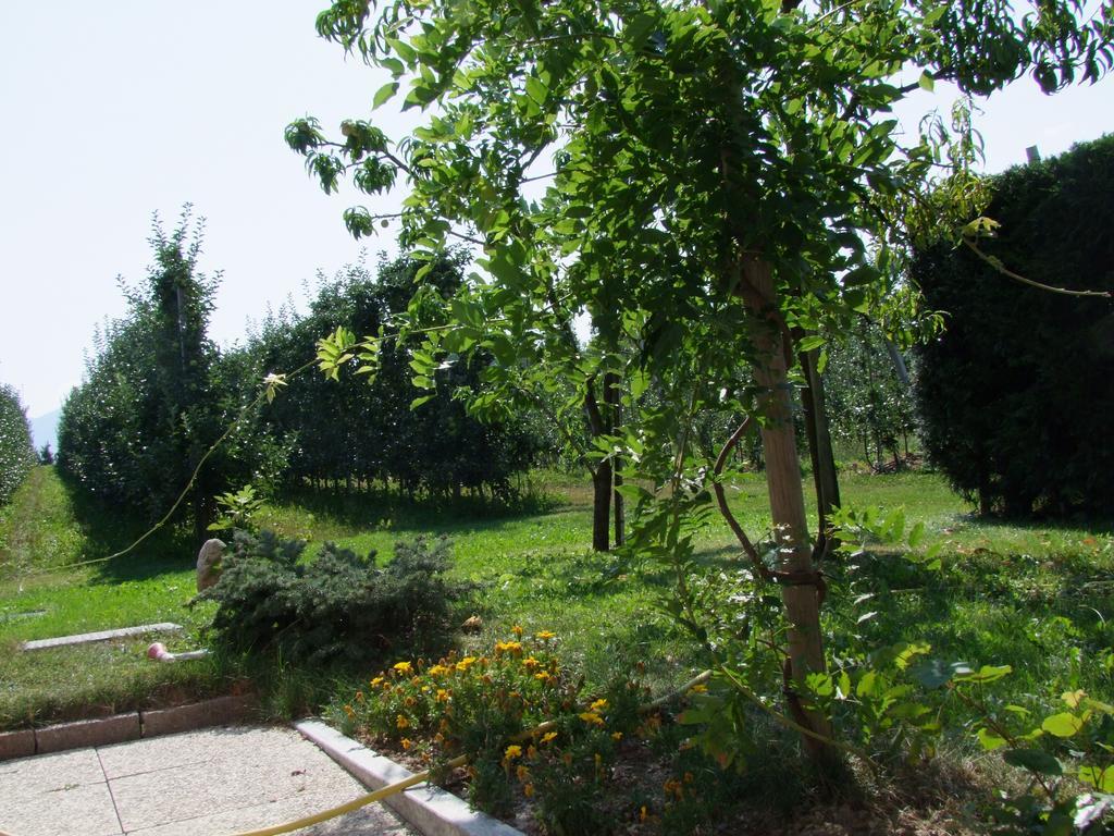 Agritur Fior Di Melo Διαμέρισμα Nanno Εξωτερικό φωτογραφία
